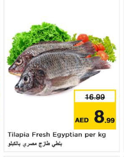 available at نستو هايبرماركت in الإمارات العربية المتحدة , الامارات - ٱلْفُجَيْرَة‎