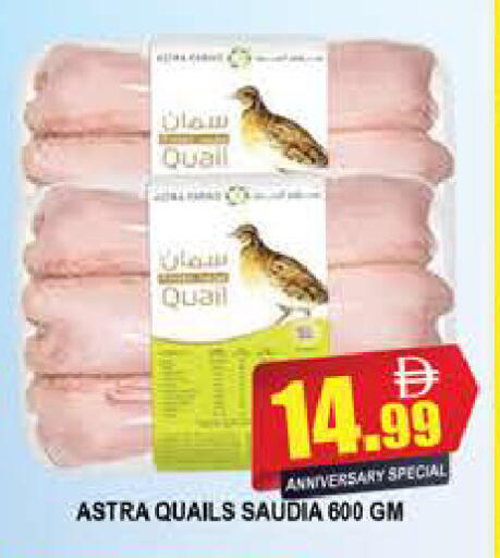 available at المدينة in الإمارات العربية المتحدة , الامارات - دبي