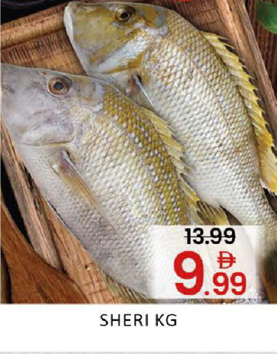 Mango available at مانجو هايبرماركت in الإمارات العربية المتحدة , الامارات - دبي