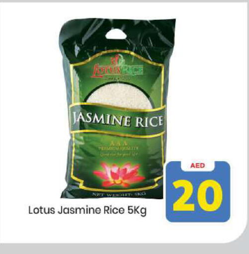 available at مارك & سيف in الإمارات العربية المتحدة , الامارات - أبو ظبي