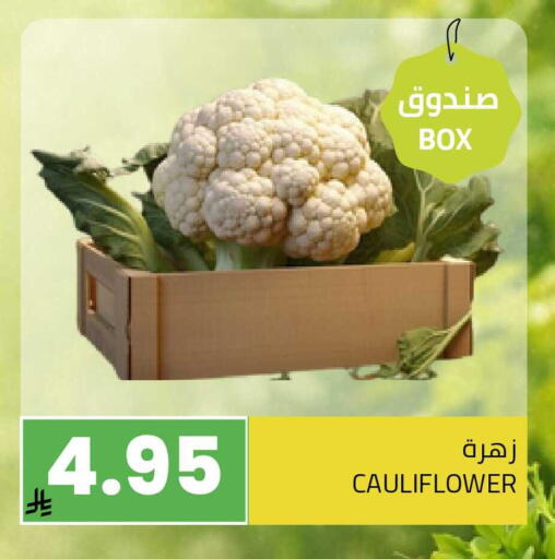 Cauliflower available at أسواق أسترا in مملكة العربية السعودية, السعودية, سعودية - تبوك