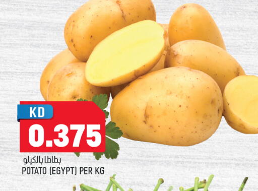 Potato from Egypt available at Oncost in Kuwait - Jahra Governorate