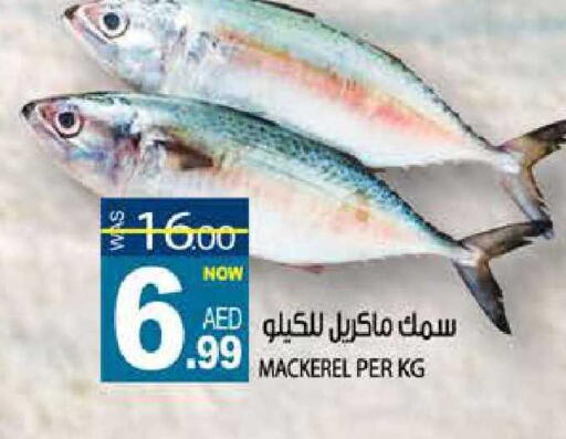 available at هاشم هايبرماركت in الإمارات العربية المتحدة , الامارات - الشارقة / عجمان