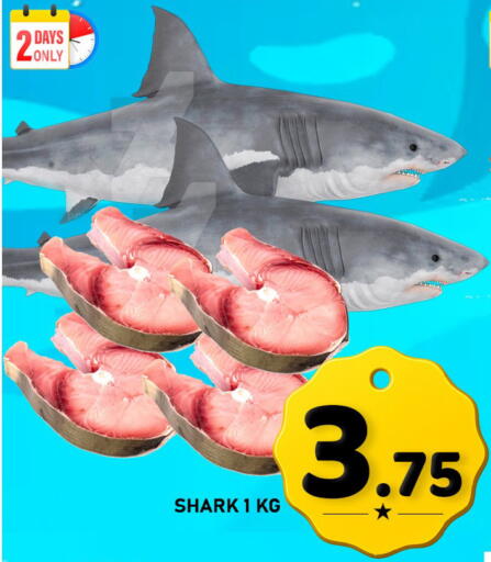 available at باشن هايبر ماركت in قطر - الوكرة