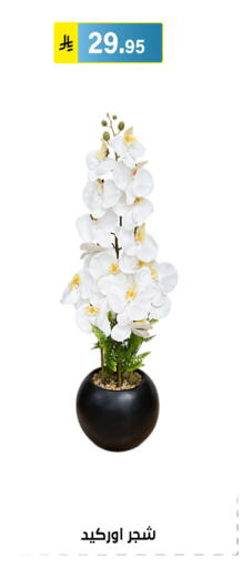 available at الحسين توب أب in مملكة العربية السعودية, السعودية, سعودية - الرياض