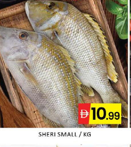 Mango available at مانجو هايبرماركت in الإمارات العربية المتحدة , الامارات - دبي