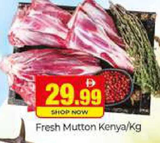 available at المدينة in الإمارات العربية المتحدة , الامارات - دبي