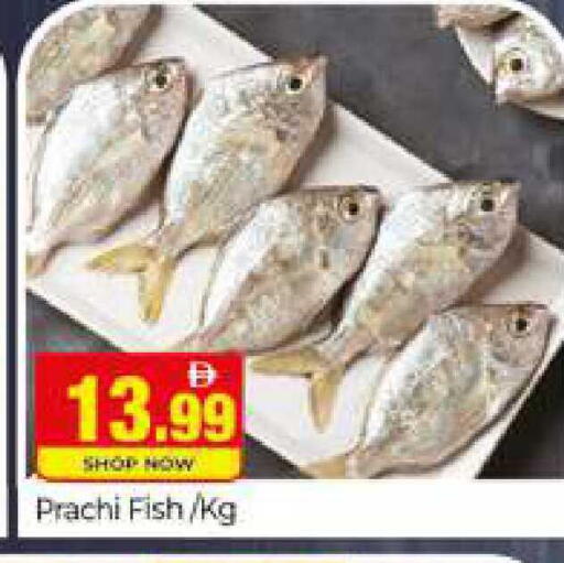 available at المدينة in الإمارات العربية المتحدة , الامارات - دبي