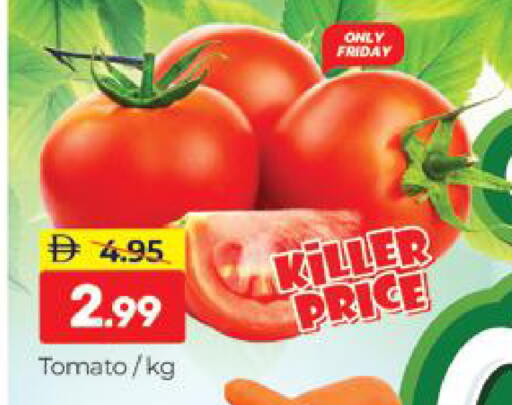 Tomato available at المدينة in الإمارات العربية المتحدة , الامارات - دبي