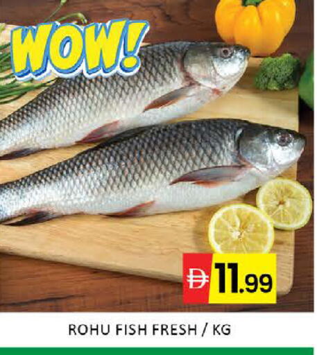 Mango available at مانجو هايبرماركت in الإمارات العربية المتحدة , الامارات - دبي