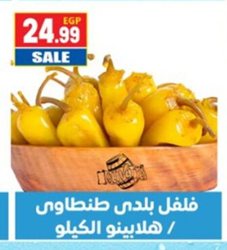 available at El mhallawy Sons in Egypt - Cairo