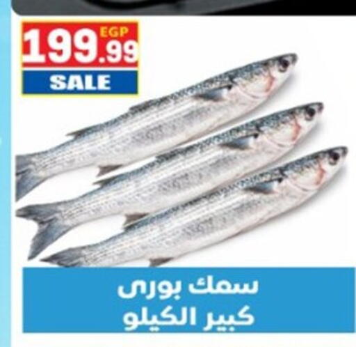 available at El mhallawy Sons in Egypt - Cairo