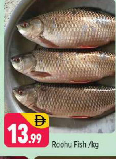 available at Shaklan  in UAE - Dubai