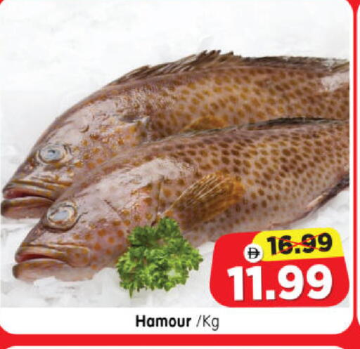 available at هايبر ماركت المدينة in الإمارات العربية المتحدة , الامارات - أبو ظبي