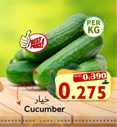 Cucumber available at القوت هايبرماركت in عُمان - مسقط‎