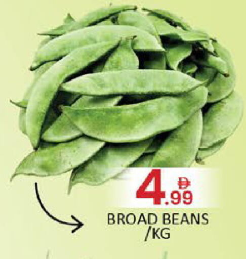 Mango available at Mango Hypermarket LLC in UAE - Dubai