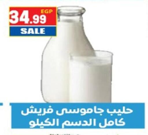 available at El mhallawy Sons in Egypt - Cairo