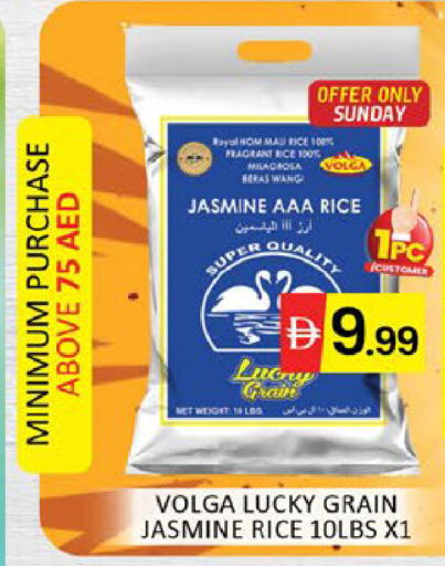 Mango available at مانجو هايبرماركت in الإمارات العربية المتحدة , الامارات - دبي