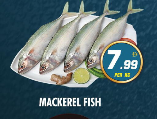 available at نايت تو نايت in الإمارات العربية المتحدة , الامارات - الشارقة / عجمان