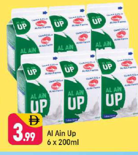 available at شكلان ماركت in الإمارات العربية المتحدة , الامارات - دبي