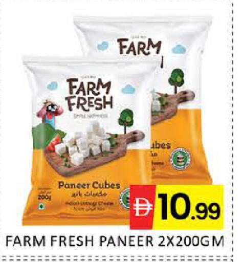 Mango available at مانجو هايبرماركت in الإمارات العربية المتحدة , الامارات - دبي