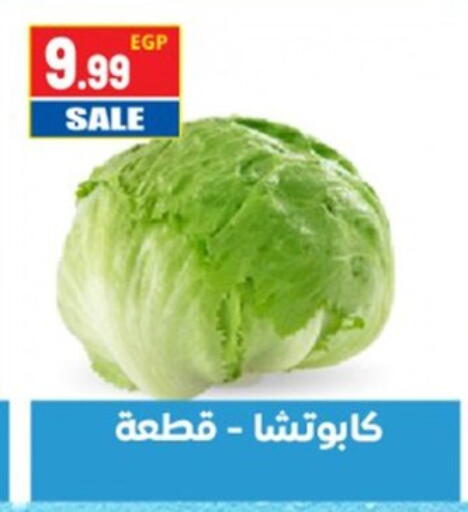 available at El mhallawy Sons in Egypt - Cairo