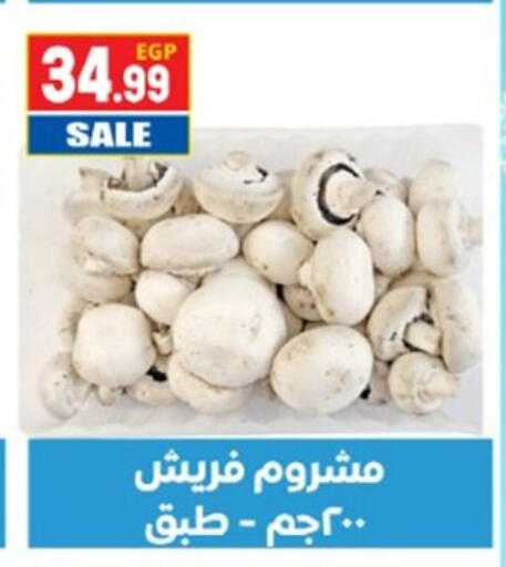 available at El mhallawy Sons in Egypt - Cairo