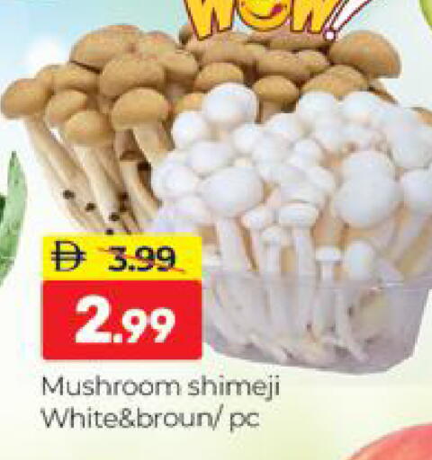 Mushroom available at المدينة in الإمارات العربية المتحدة , الامارات - دبي