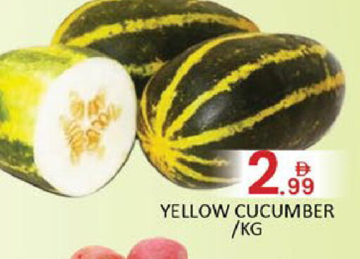 Mango Cucumber available at Mango Hypermarket LLC in UAE - Dubai