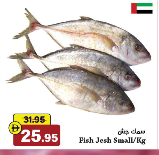 available at الأسواق هايبرماركت in الإمارات العربية المتحدة , الامارات - الشارقة / عجمان