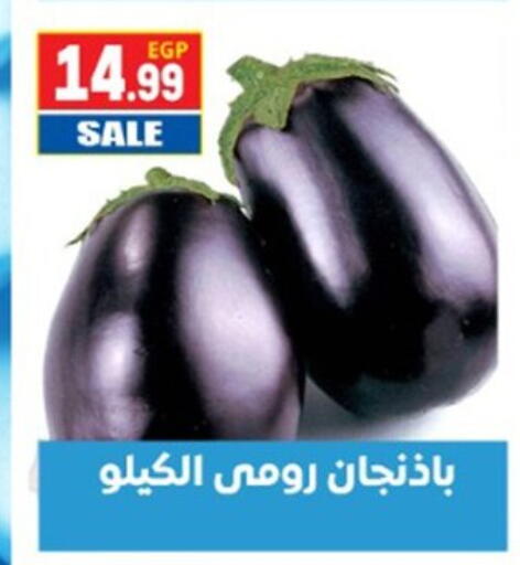 available at El mhallawy Sons in Egypt - Cairo