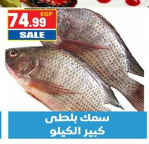 available at El mhallawy Sons in Egypt - Cairo