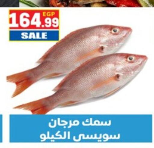 available at El mhallawy Sons in Egypt - Cairo