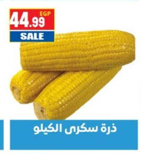 available at El mhallawy Sons in Egypt - Cairo