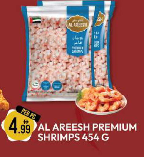 available at Dream Land in UAE - Dubai