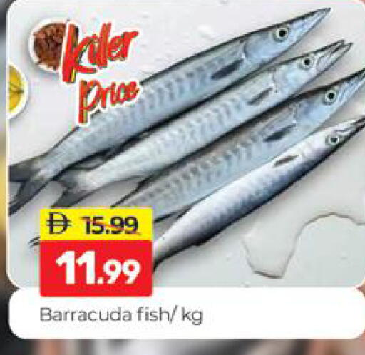 available at المدينة in الإمارات العربية المتحدة , الامارات - دبي