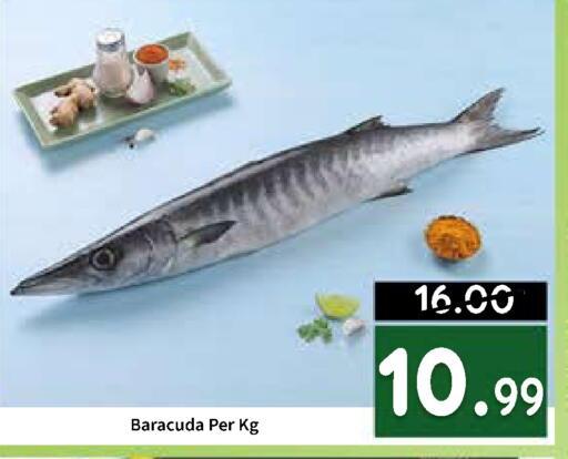 available at رويال جلف هايبرماركت in الإمارات العربية المتحدة , الامارات - أبو ظبي