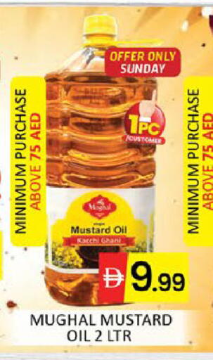 Mango available at مانجو هايبرماركت in الإمارات العربية المتحدة , الامارات - دبي