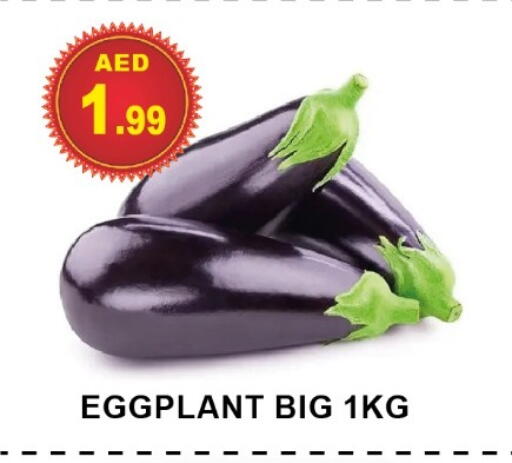 Eggplant available at مركز الوحدة للتخفيضات in الإمارات العربية المتحدة , الامارات - الشارقة / عجمان