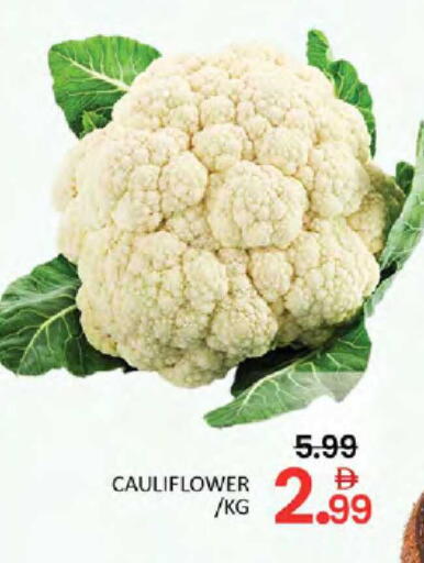Cauliflower available at المدينة in الإمارات العربية المتحدة , الامارات - دبي