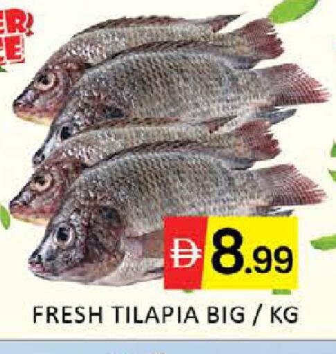 Mango available at مانجو هايبرماركت in الإمارات العربية المتحدة , الامارات - دبي