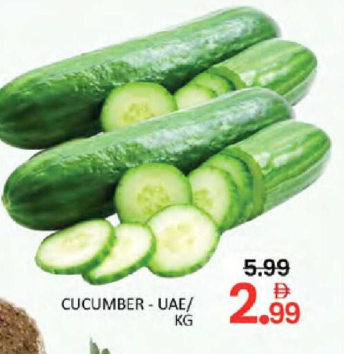 Cucumber available at المدينة in الإمارات العربية المتحدة , الامارات - دبي