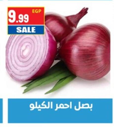 available at El mhallawy Sons in Egypt - Cairo