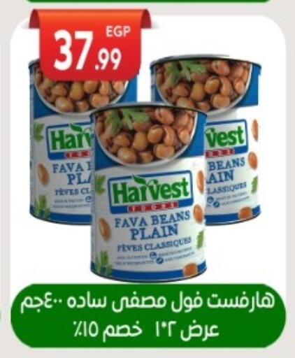 available at El mhallawy Sons in Egypt - Cairo