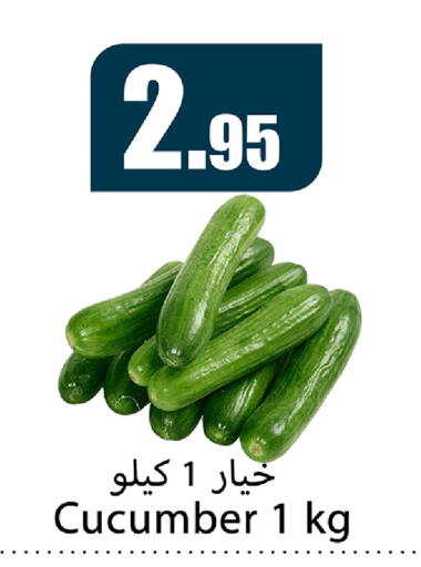 Cucumber available at سوبرماركت المخيزيم in مملكة العربية السعودية, السعودية, سعودية - المنطقة الشرقية