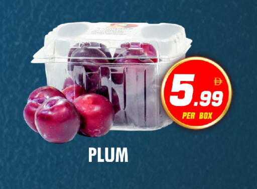 Plum available at نايت تو نايت in الإمارات العربية المتحدة , الامارات - الشارقة / عجمان