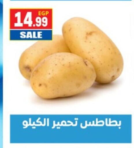 available at أولاد المحاوى in Egypt - القاهرة