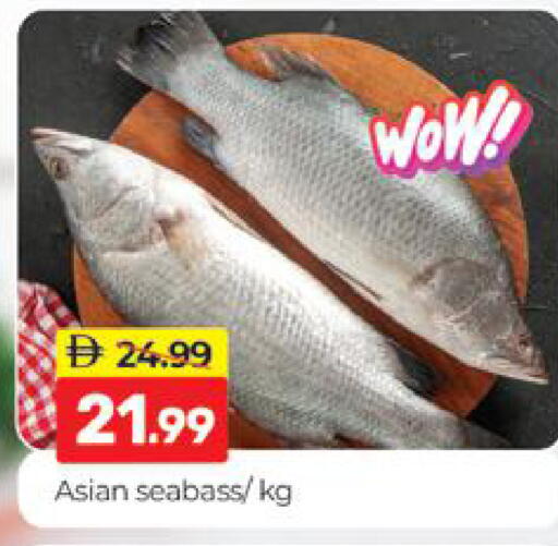 available at المدينة in الإمارات العربية المتحدة , الامارات - دبي