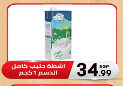 available at El mhallawy Sons in Egypt - Cairo