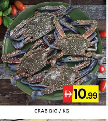 Mango available at مانجو هايبرماركت in الإمارات العربية المتحدة , الامارات - دبي